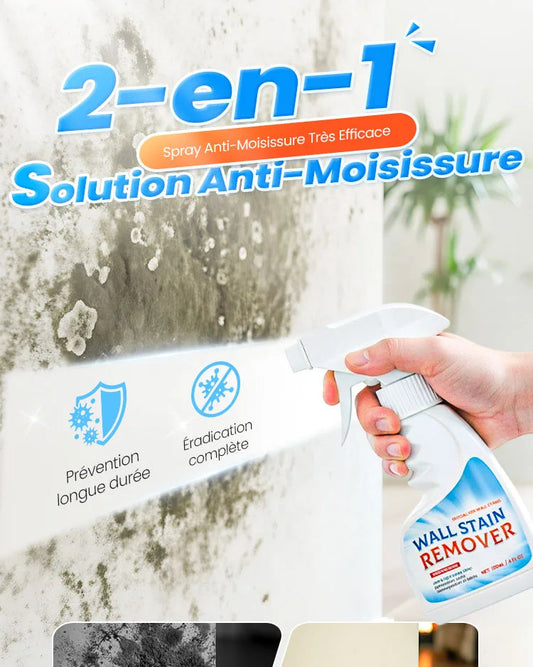 Dites adieu aux moisissures en 7 minutes : nettoie, désinfecte et protège durablement votre maison.