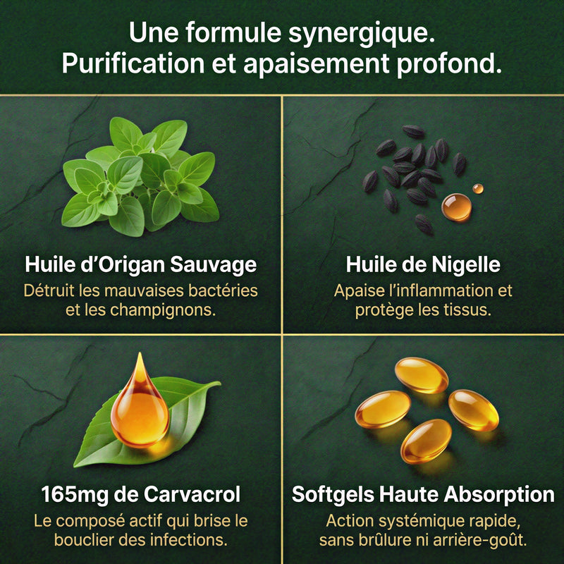 Huile d'Origan Gélules | Nouvelle Formule